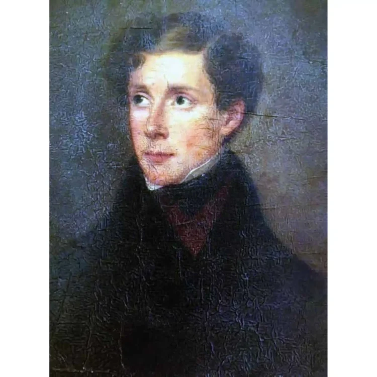 A portrait painting of a young Daniel O'Connell, looking slightly away from the viewer. He has curly brown hair, fair skin, and dark eyes. He is wearing a high, thick black collar over a dark red or burgundy waistcoat and a white shirt collar that is visible just beneath his chin. The background is a dark, textured greyish-blue.