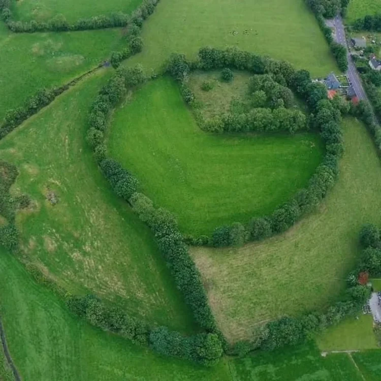 An aerial photograph looking directly down over lush green Irish countryside. The central focus is a large, circular ancient ringfort structure outlined entirely by a thick, continuous line of mature green trees and hedges. The interior of the ringfort is divided into a clear, open grassy area on one side and a section dense with trees and scrub on the other. Surrounding fields and a country road running along the top right corner complete the landscape.