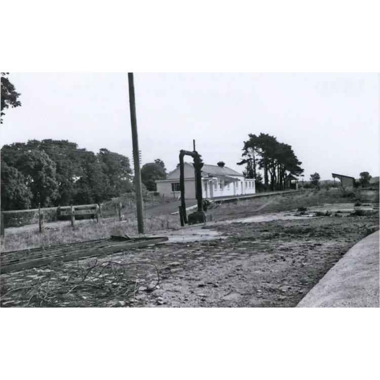 A black and white photograph depicting the deserted and derelict site of Dunmanway Railway Station in 1966. The landscape sits under an overcast sky.In the foreground, the ground where railway tracks used to run is uneven, covered in gravel, patches of weeds, and scattered debris, including a tangled coil of thick wire or cable on the left. An old, dark metal water crane or pump mechanism stands prominently near the centre of the frame where trains once stopped. In the mid-ground, the single-story, light-coloured station building with a dark roof stands empty and parallel to the abandoned platform. A tall wooden utility pole stands to the left of the building. To the far left, a low stone wall and a simple wooden fence separate the former station grounds from a dense line of mature trees. To the right of the station building, a small cluster of tall, dark pine trees stands against the pale sky.