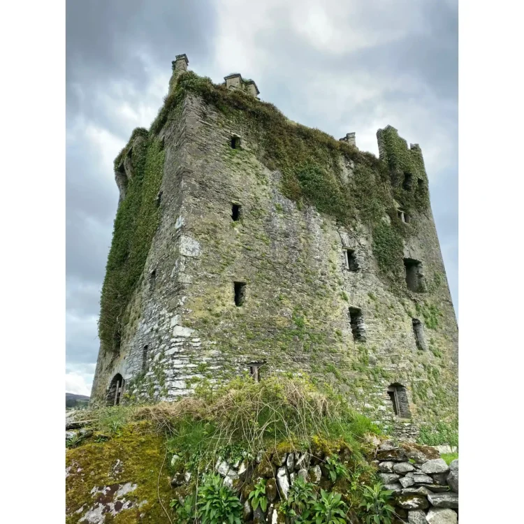 A low-angle, close-up photograph captures the rugged stone facade of Togher Castle under a cloudy, grey sky. The impressive multi-storey square tower house is constructed from weathered grey stone blocks with visible mortar. Patches of green moss, lichen, and dense ivy cling to the upper corners and roofline battlements. The wall features several small, narrow vertical arrow slits and irregular window openings distributed across its height. In the immediate foreground, a low, crumbling drystone wall built from loose grey stones runs horizontally, topped with green grass, wild weeds, and small leafy plants.